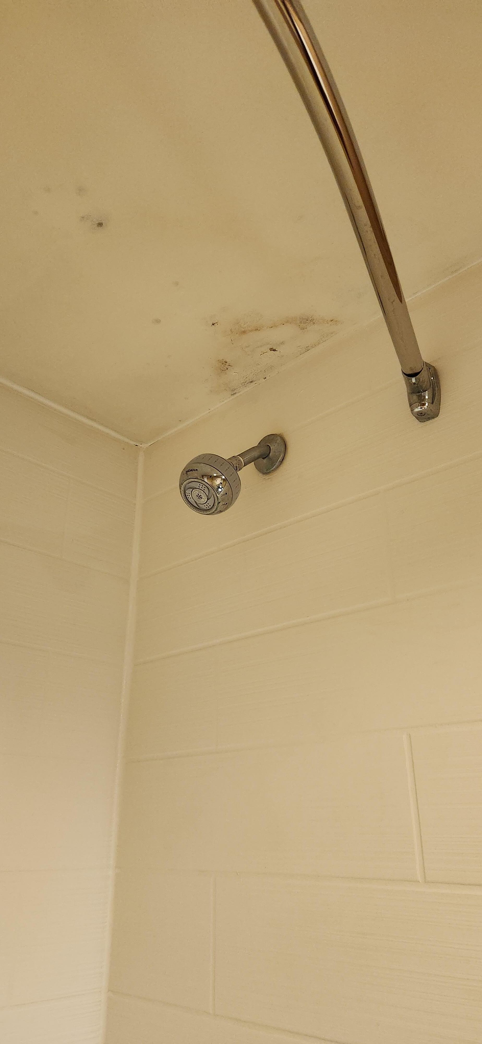 Black mold like substance on shower ceiling