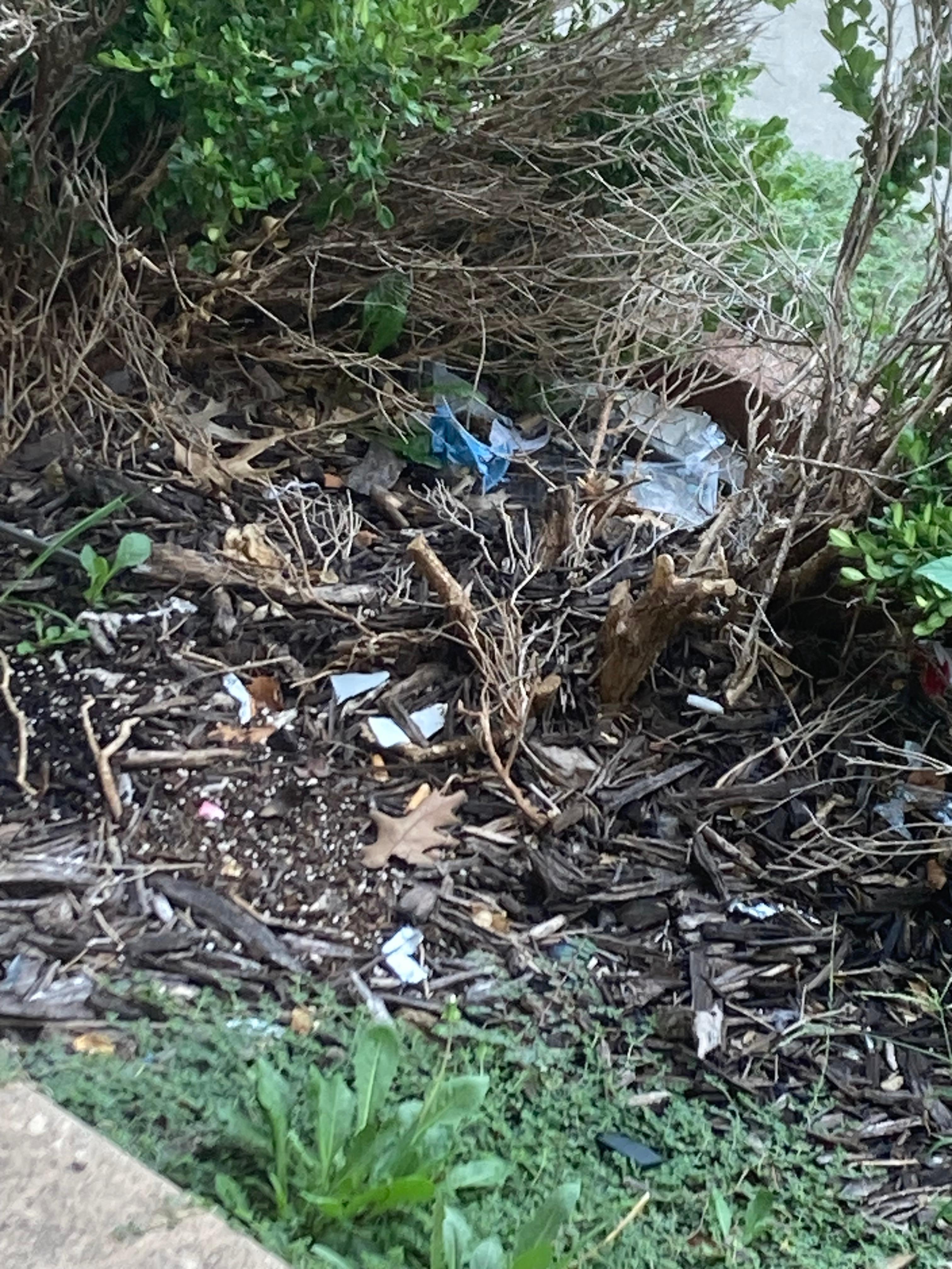 Garbage in bushes