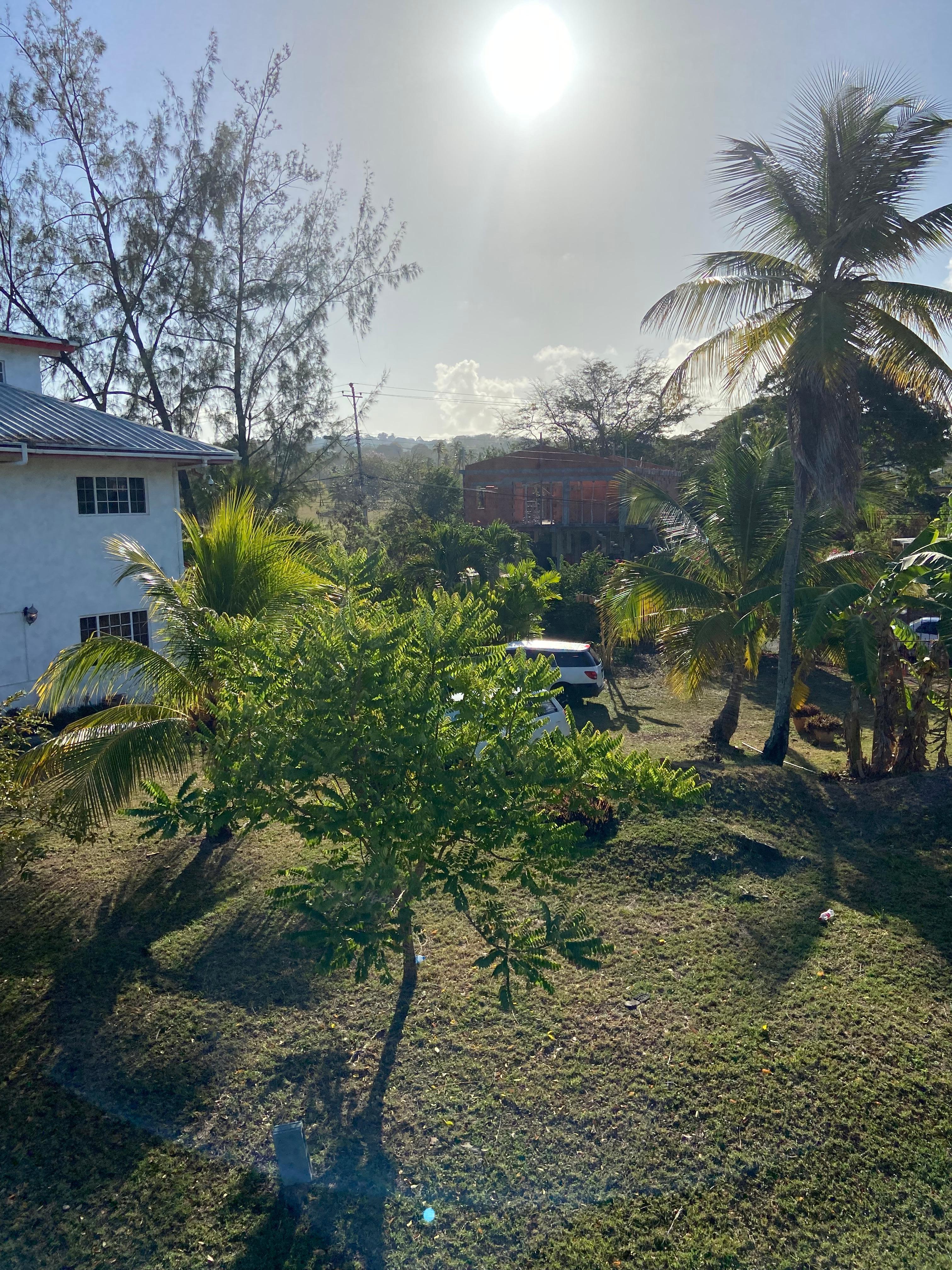 Morning sun from the second floor of my guesthouse