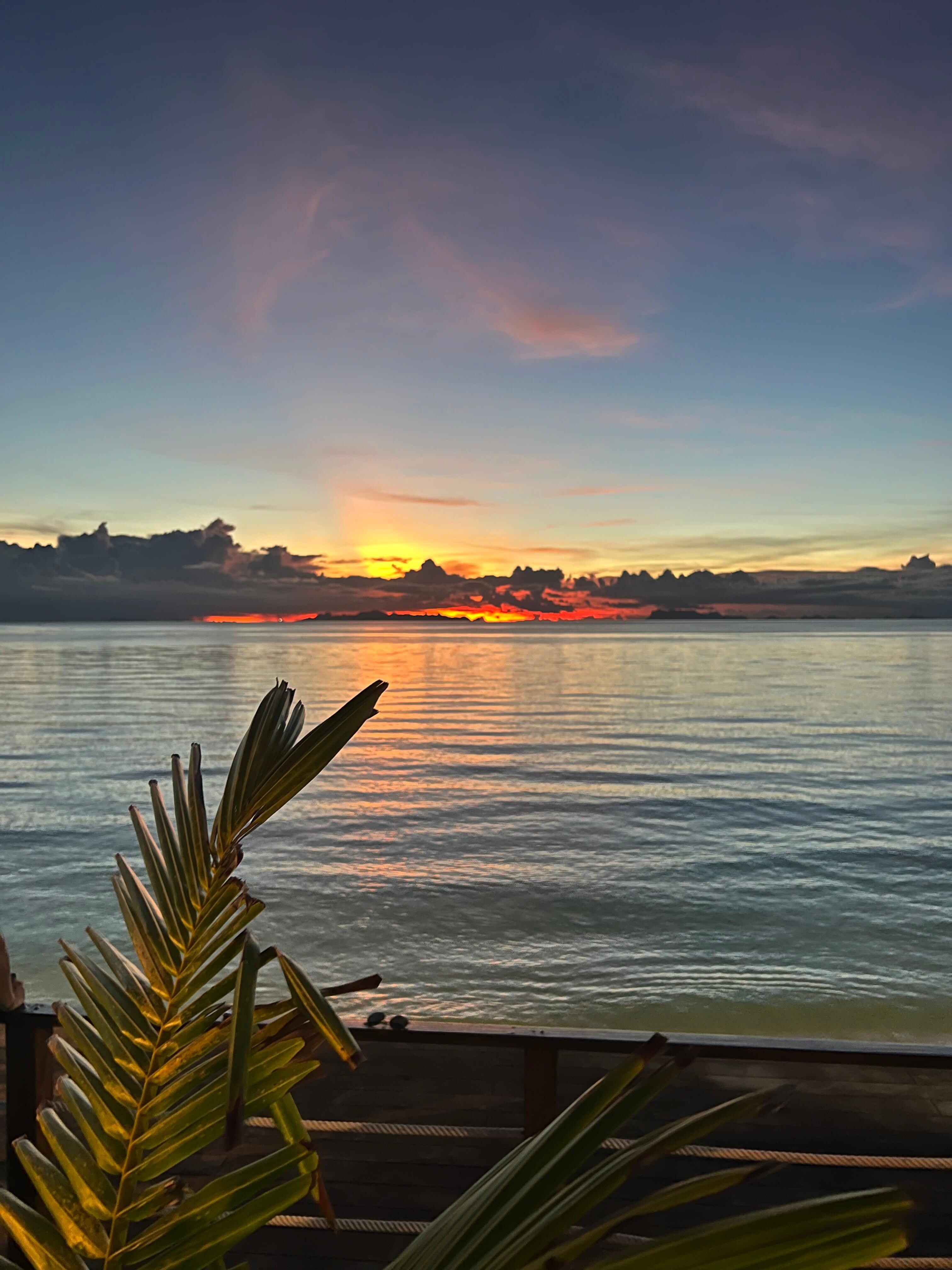 Vistas desde la piscina
