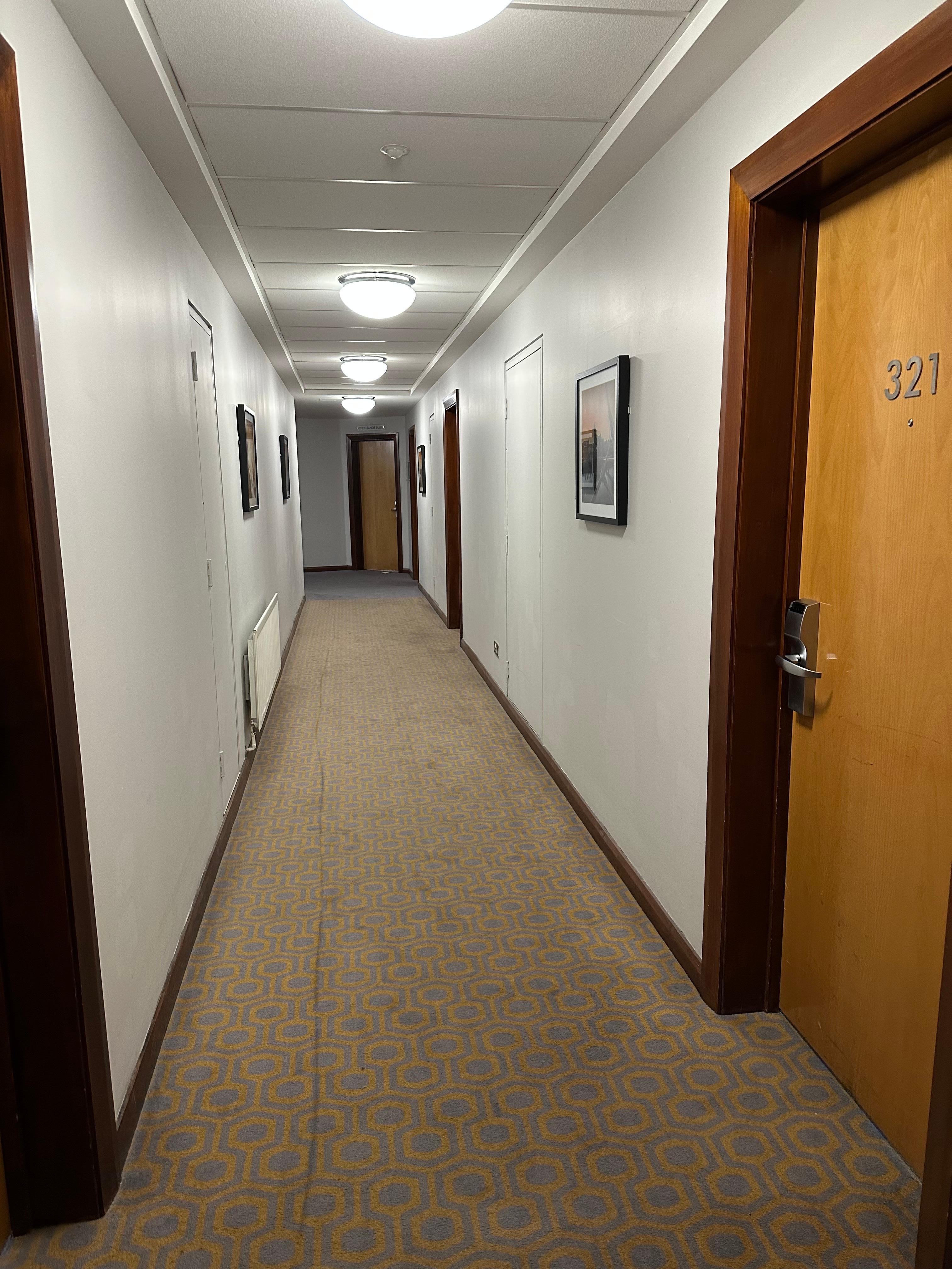 Carpets were stained 