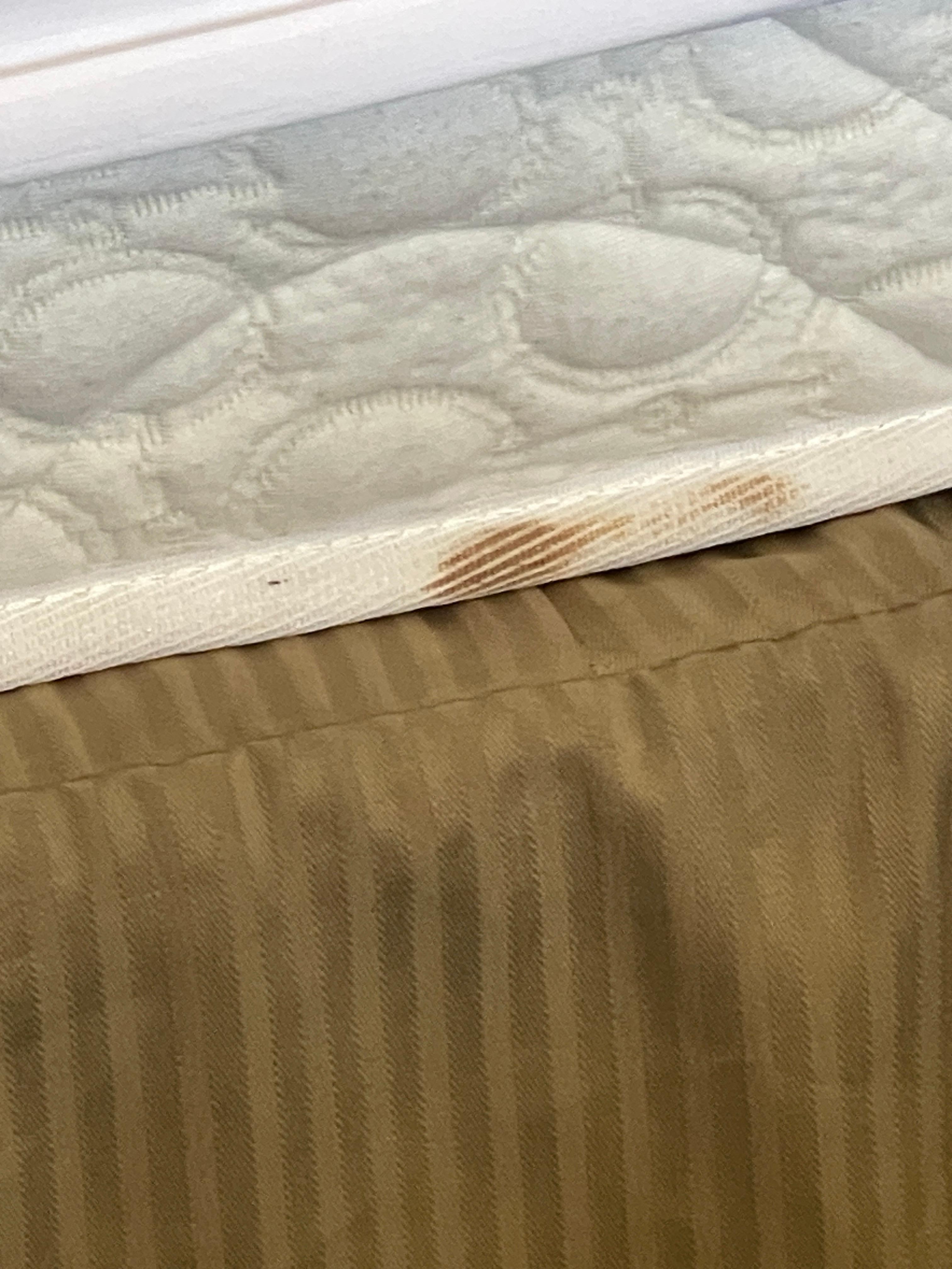 Blood on the bed I hope the video works. If not I can do screenshots.