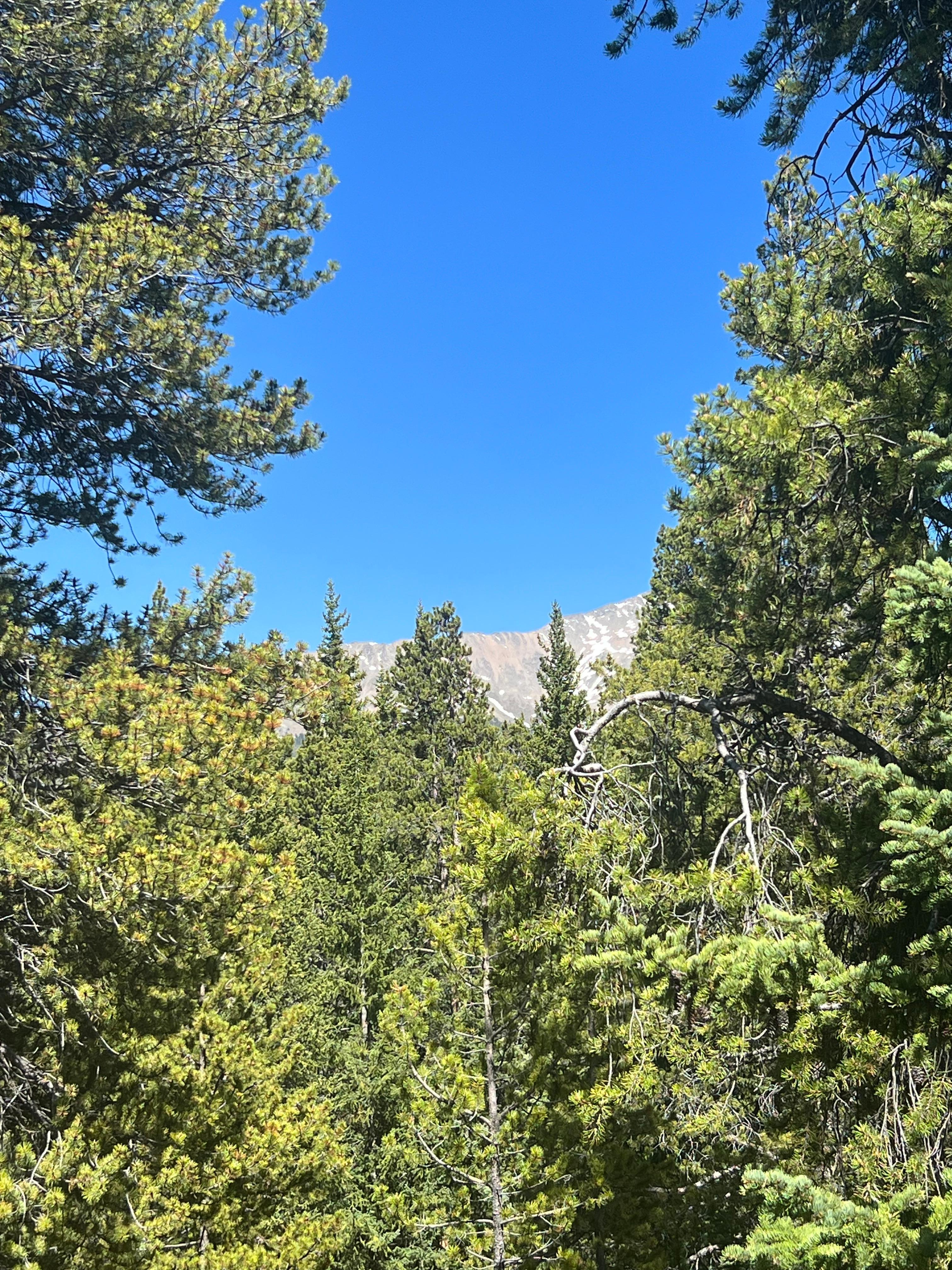 View from upstairs deck