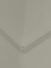 Nido de arañas