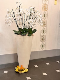 Decoração. Lindas orquídeas.