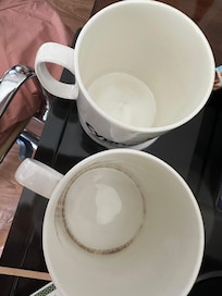 Filthy cups, mould in bottom