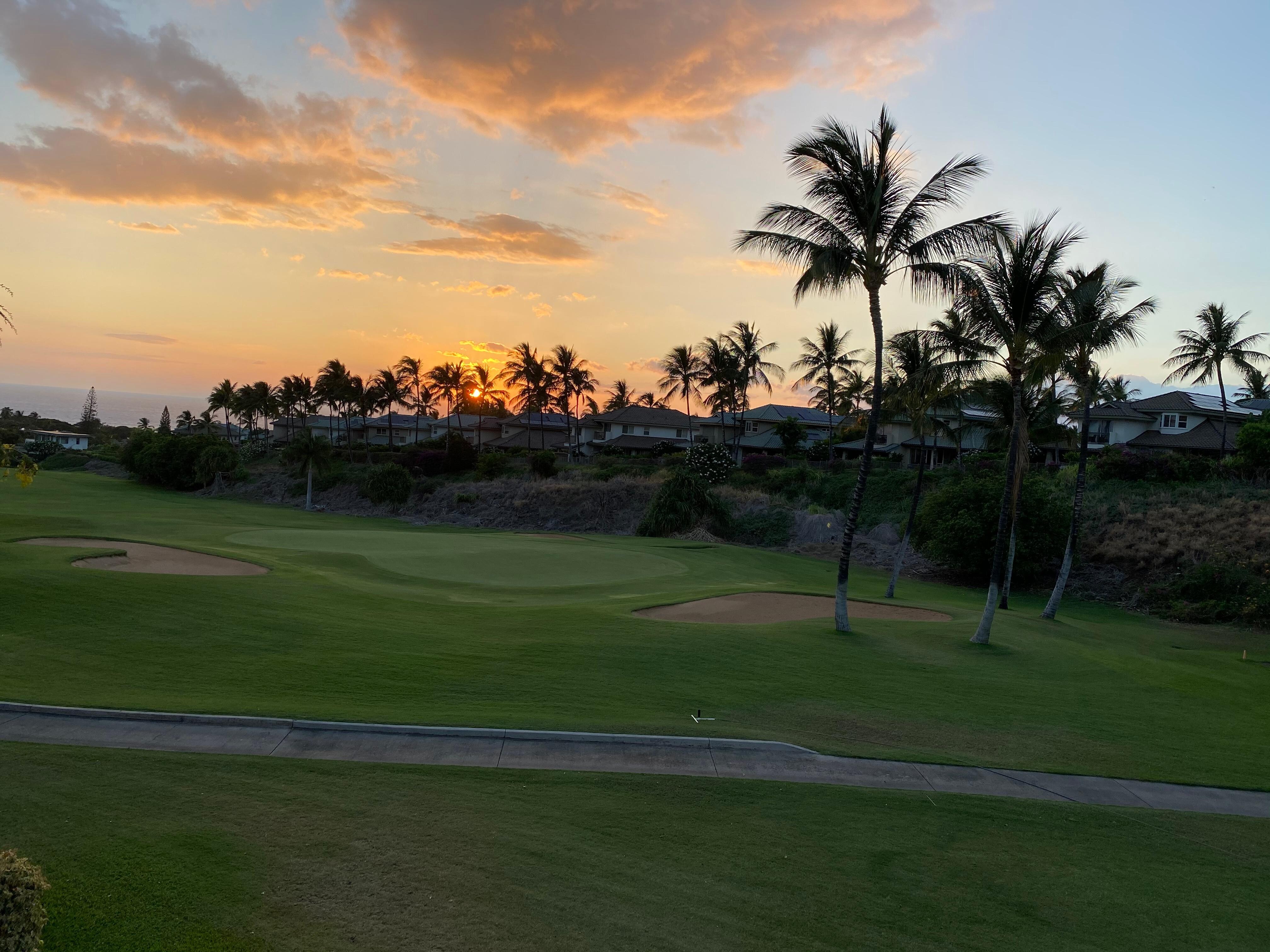 From the lanai