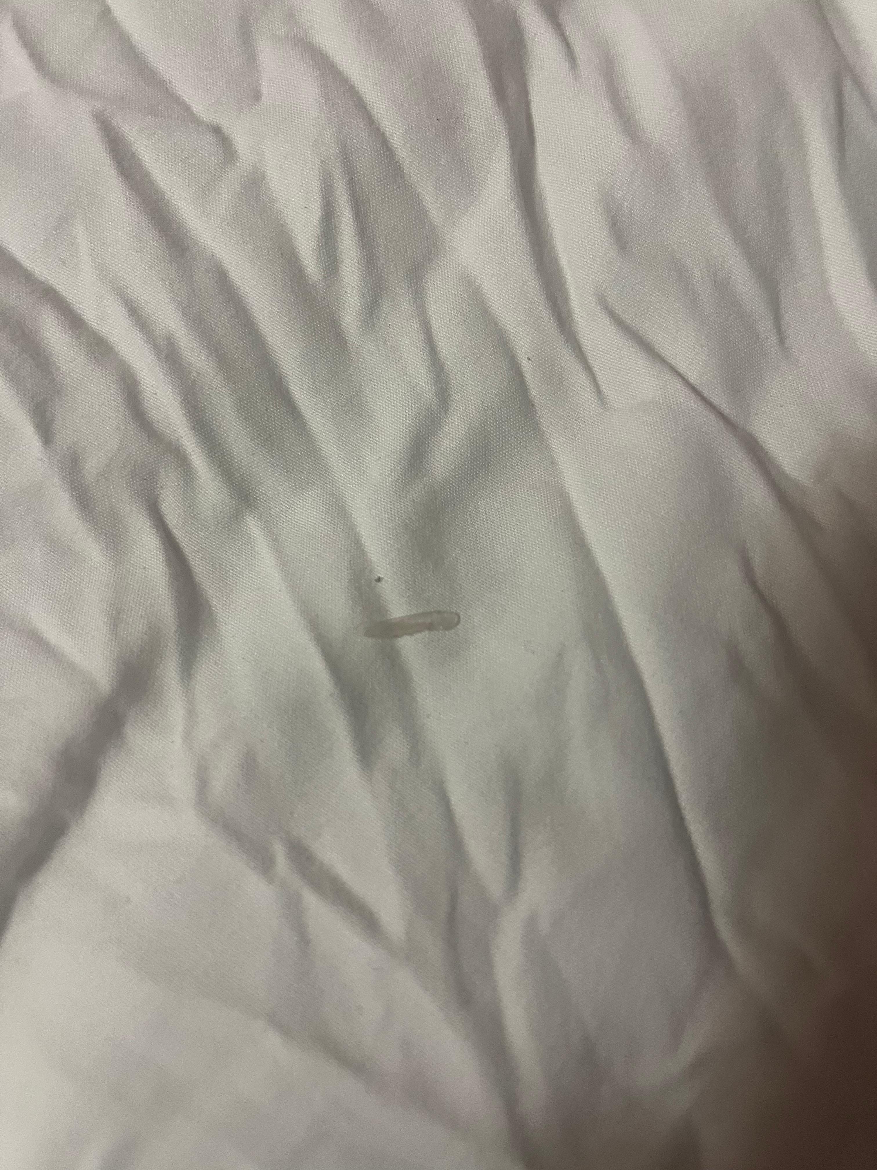 Finger nail? Found under the covers