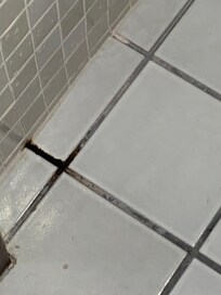 Bathroom ceramic tile grout