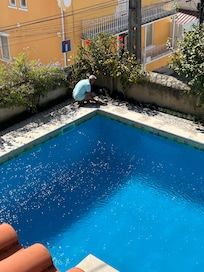 Piscina limpíssima e o proprietário o próprio jardineiro a volta da mesma