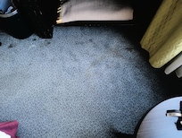 Carpet stains