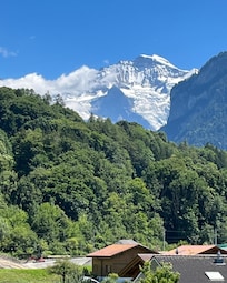 Udsigten fra værelset til Jungfrau