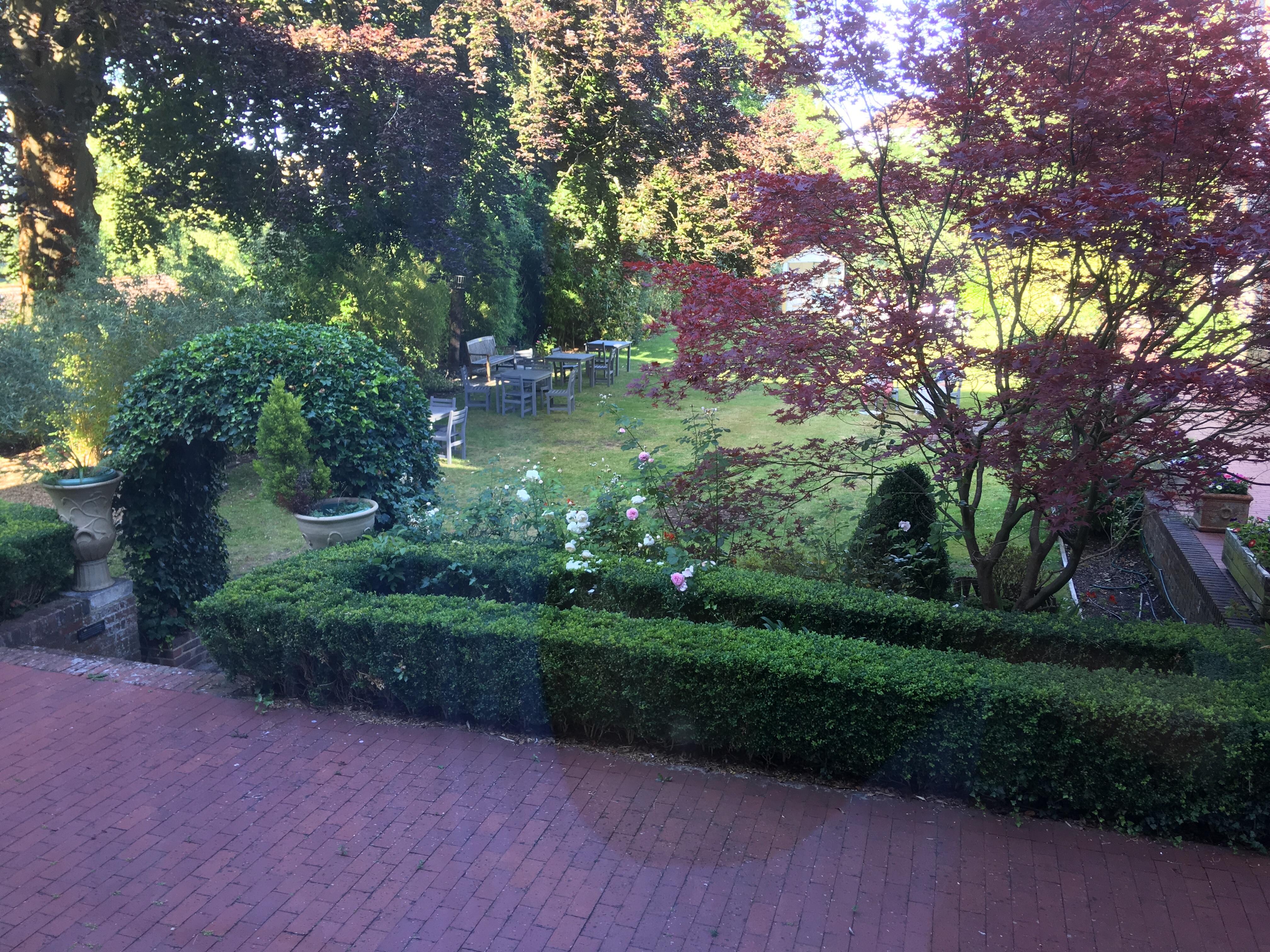 Garden view