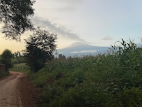 View from the street of Kili