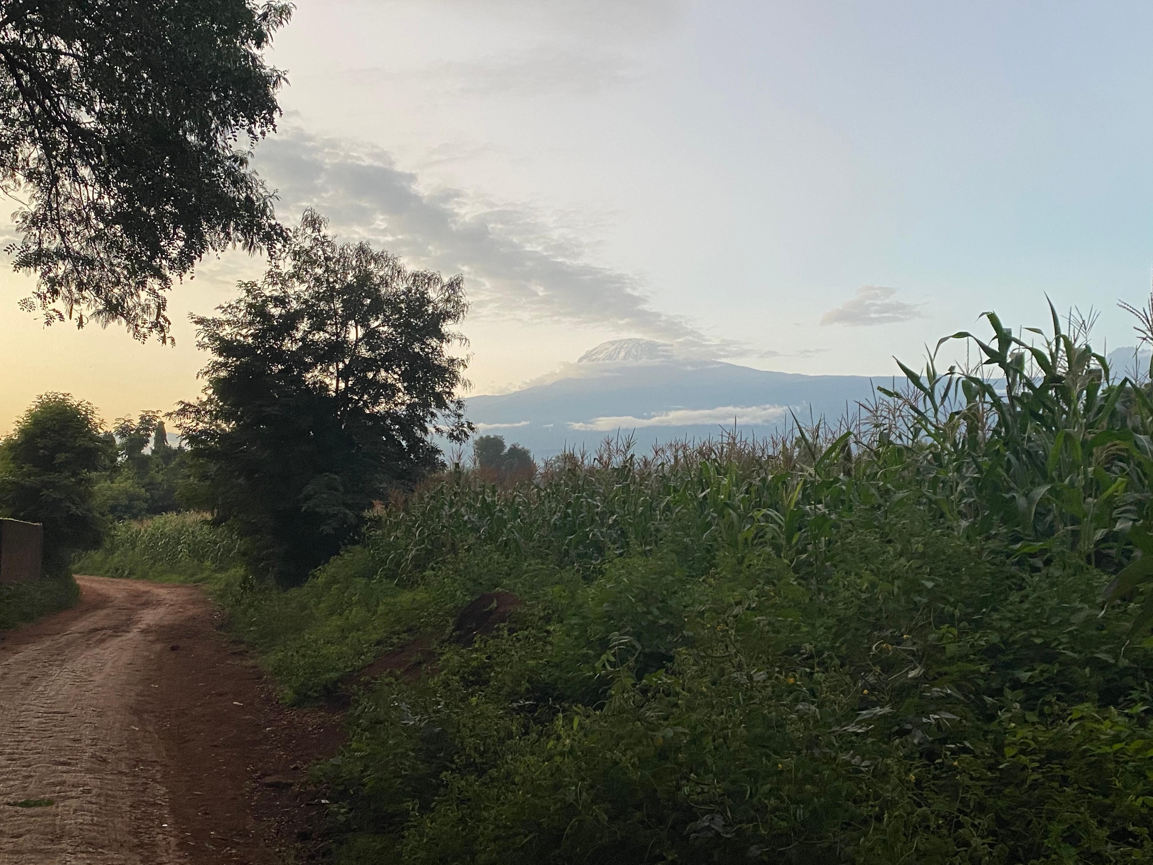 View from the street of Kili