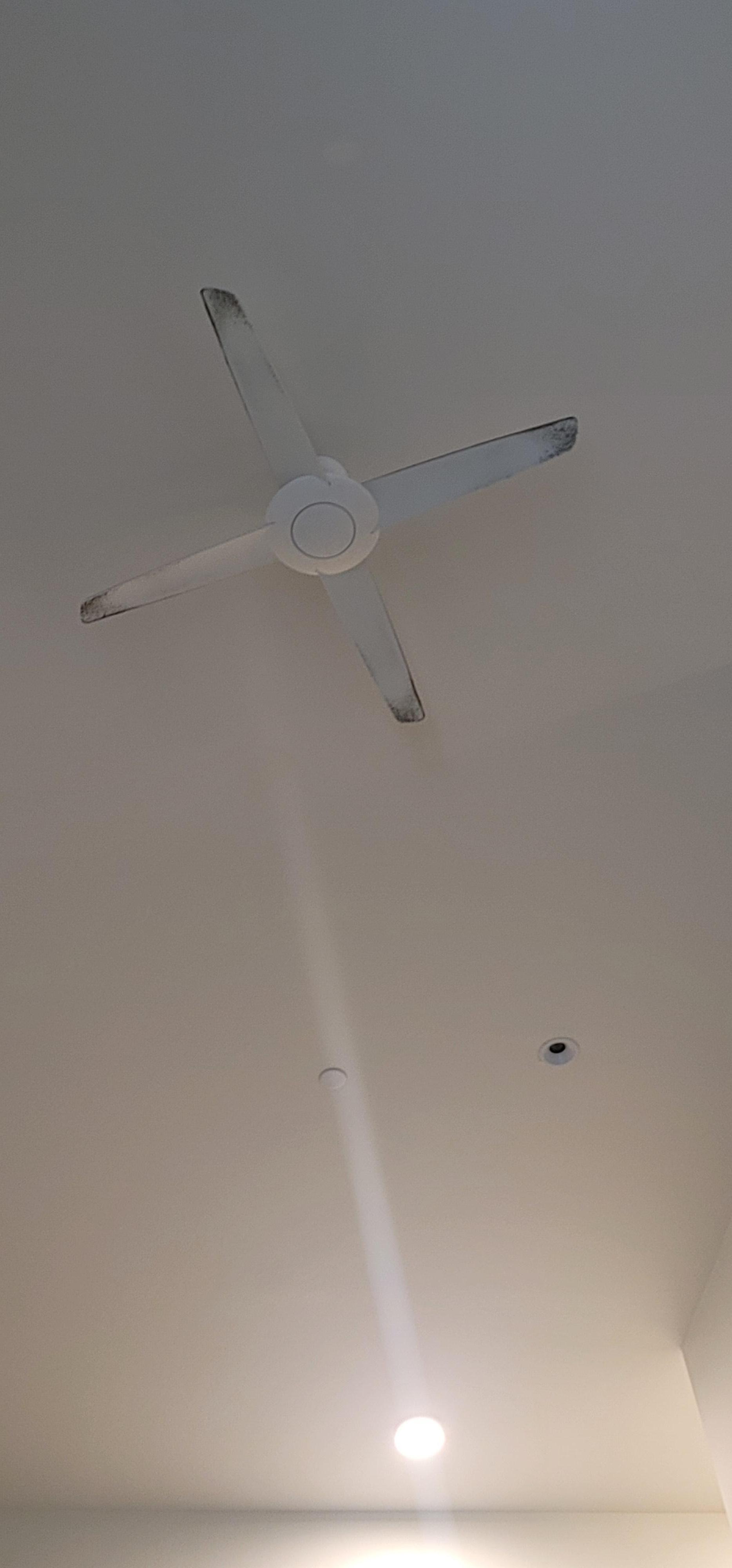 The ceiling fan hasn't been cleaned in forever. None of the pics can really do justice for the condition of this place.