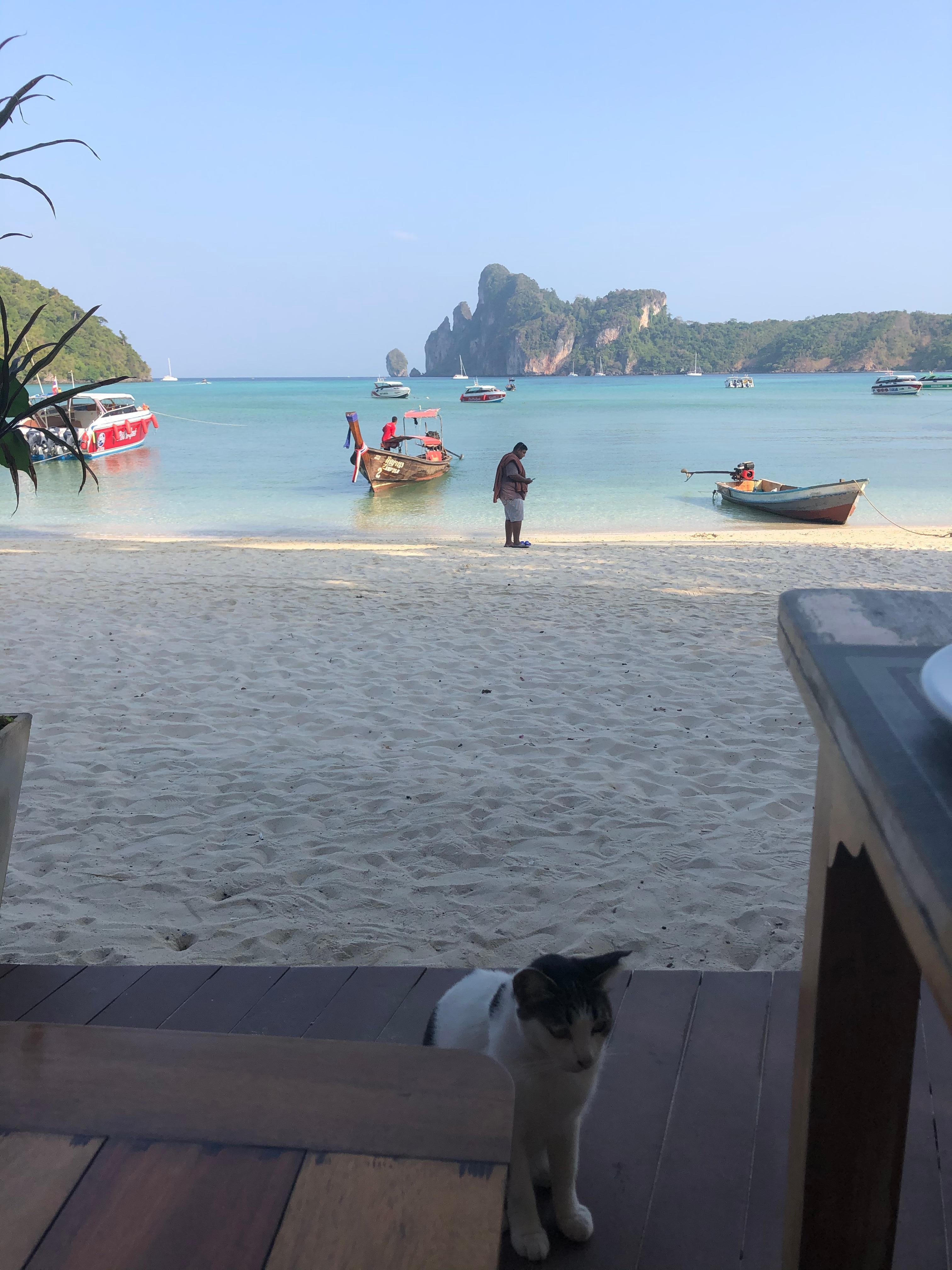 Utsikt fra frokost restauranten til hotellet