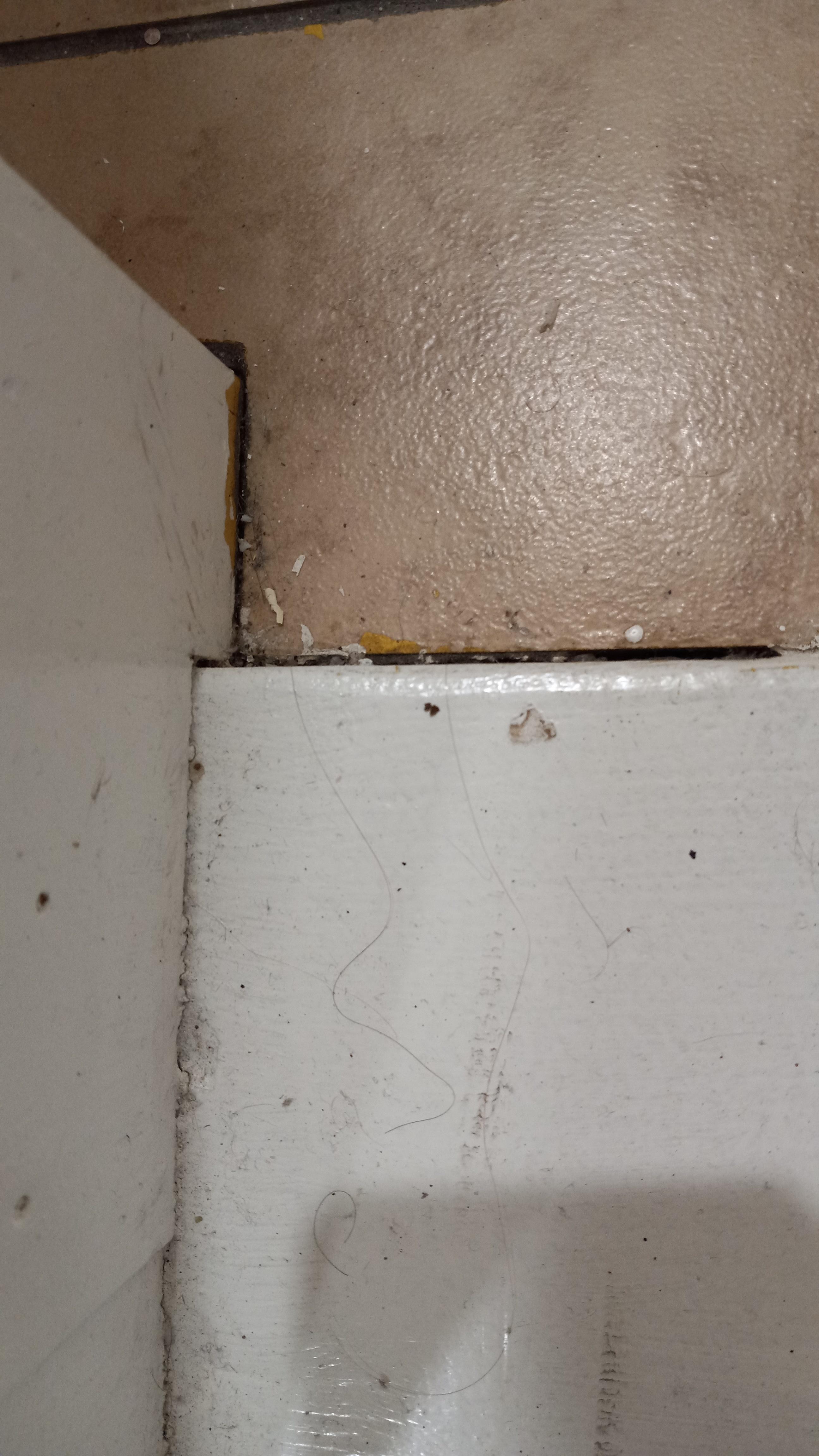 This is the edge of the tub looking down to the floor in the bathroom.