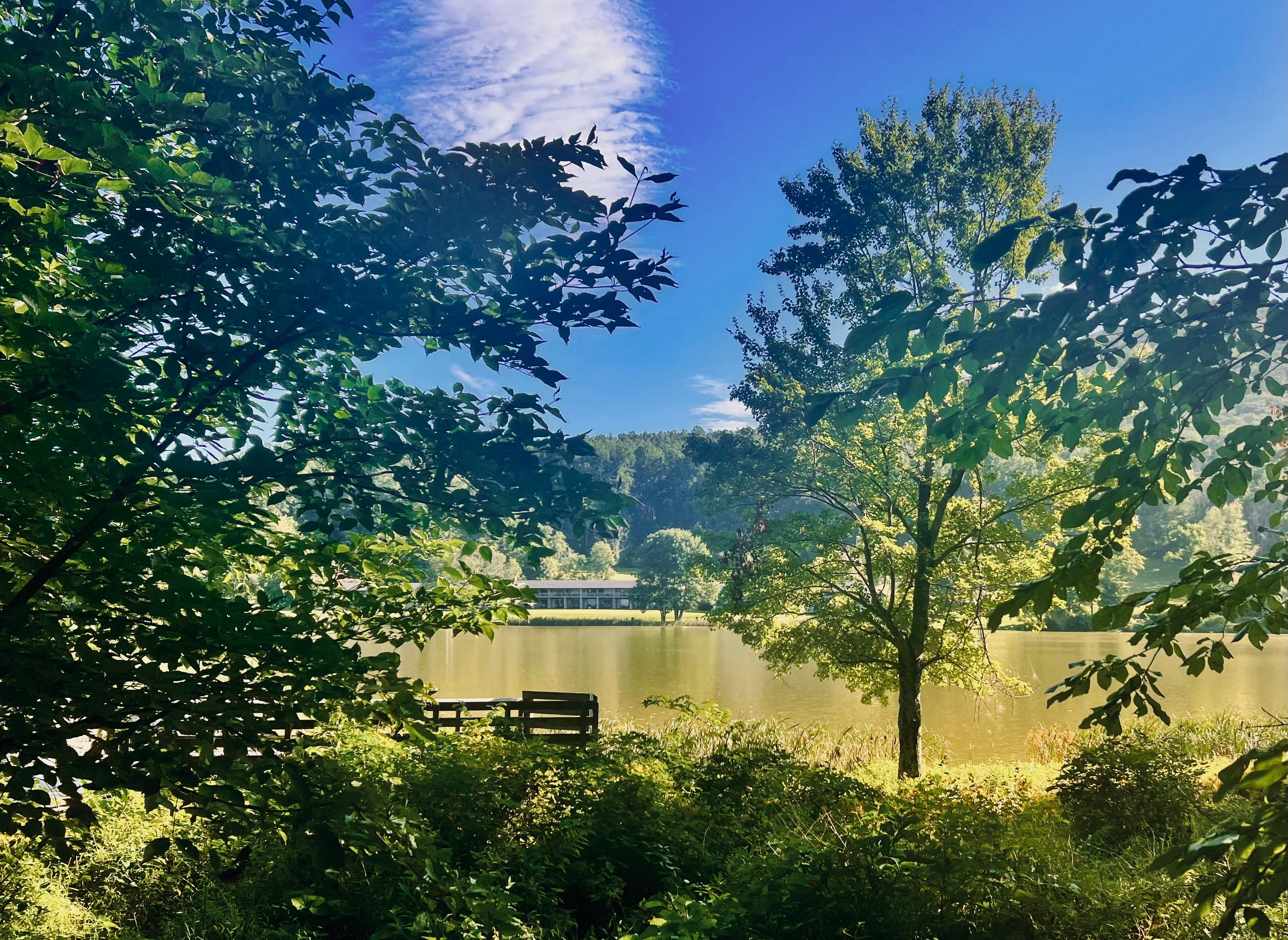 Lodge in the distance 