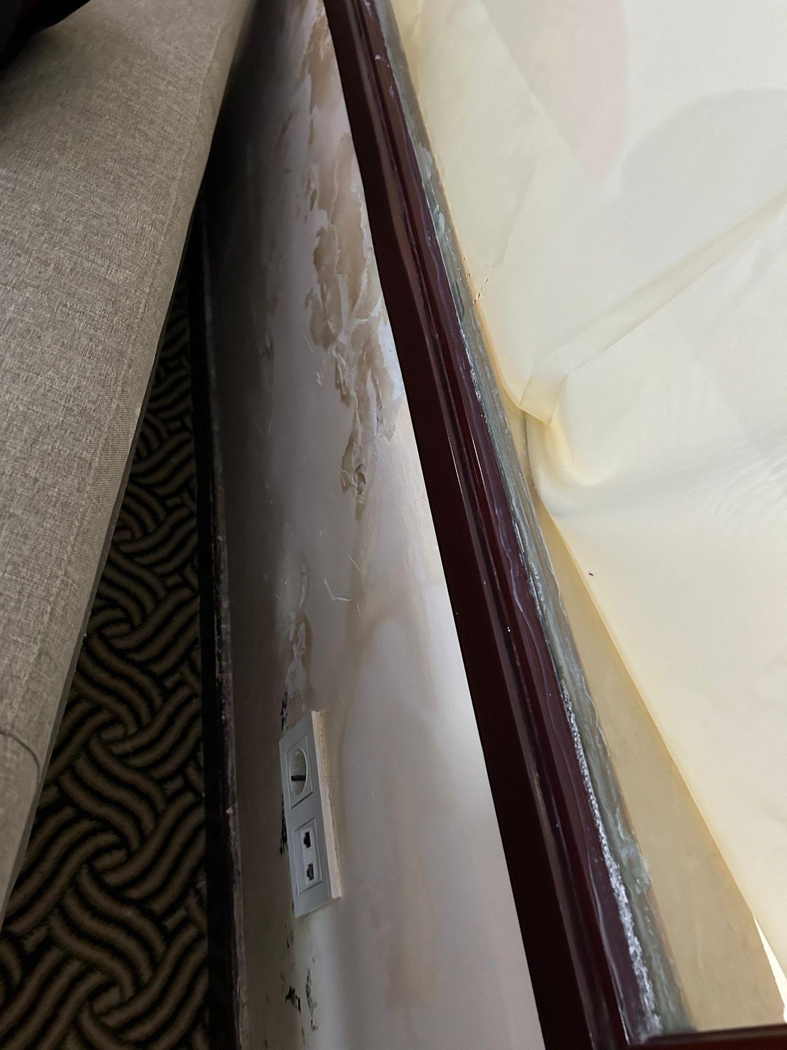 dampness and mold in the room