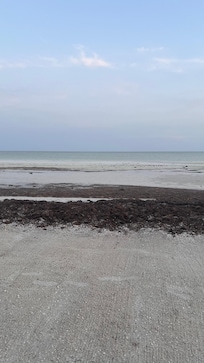 Beautiful water but beach is full seaweed