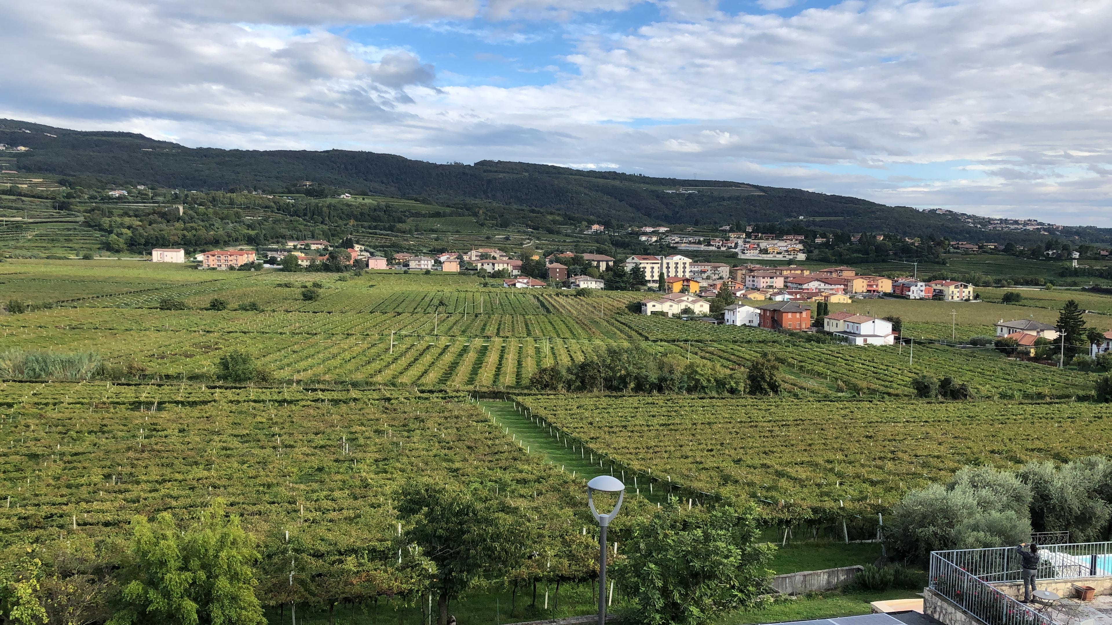 Blick aus einem unserer Bodenfenster