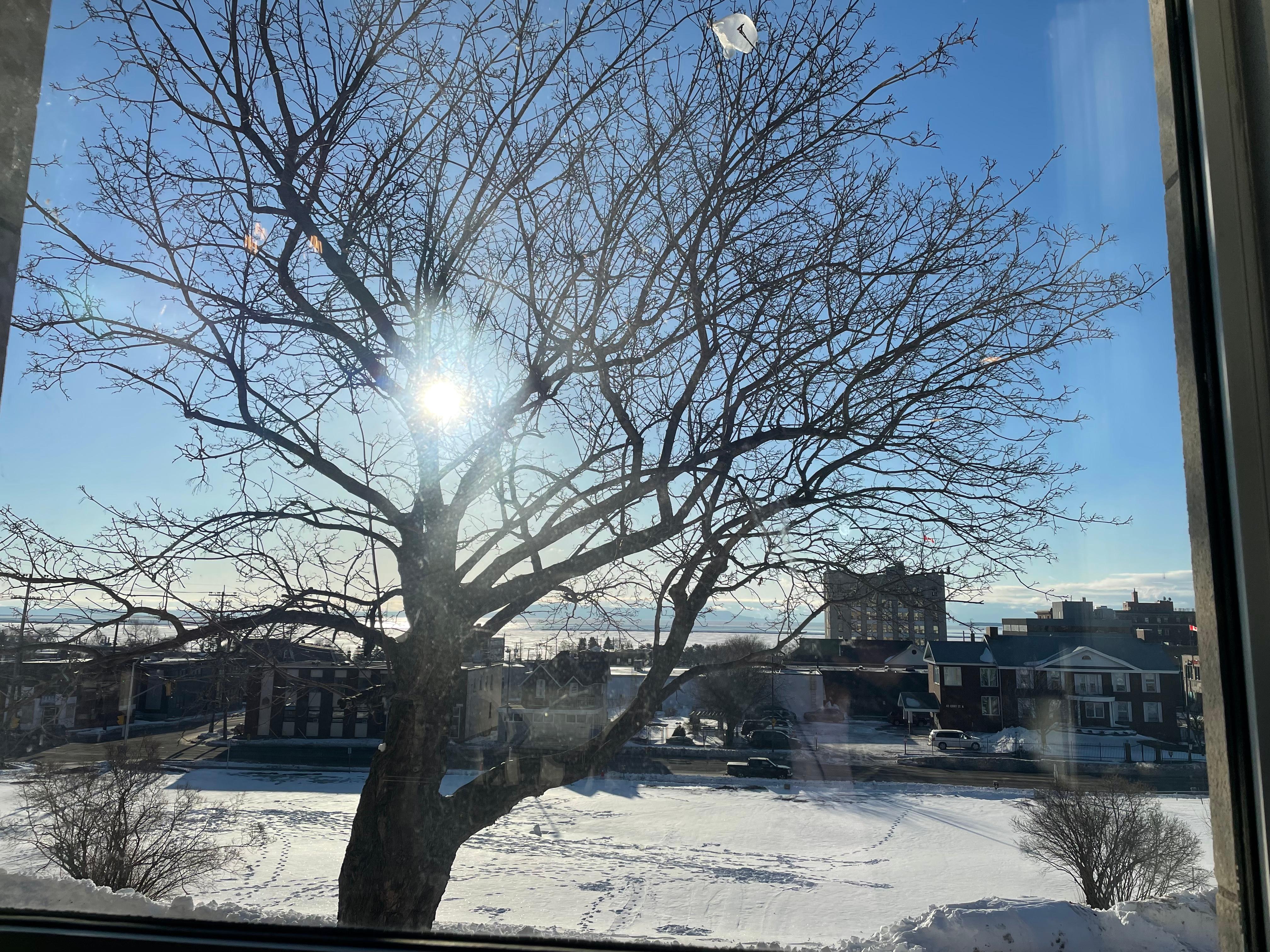 View from breakfast room