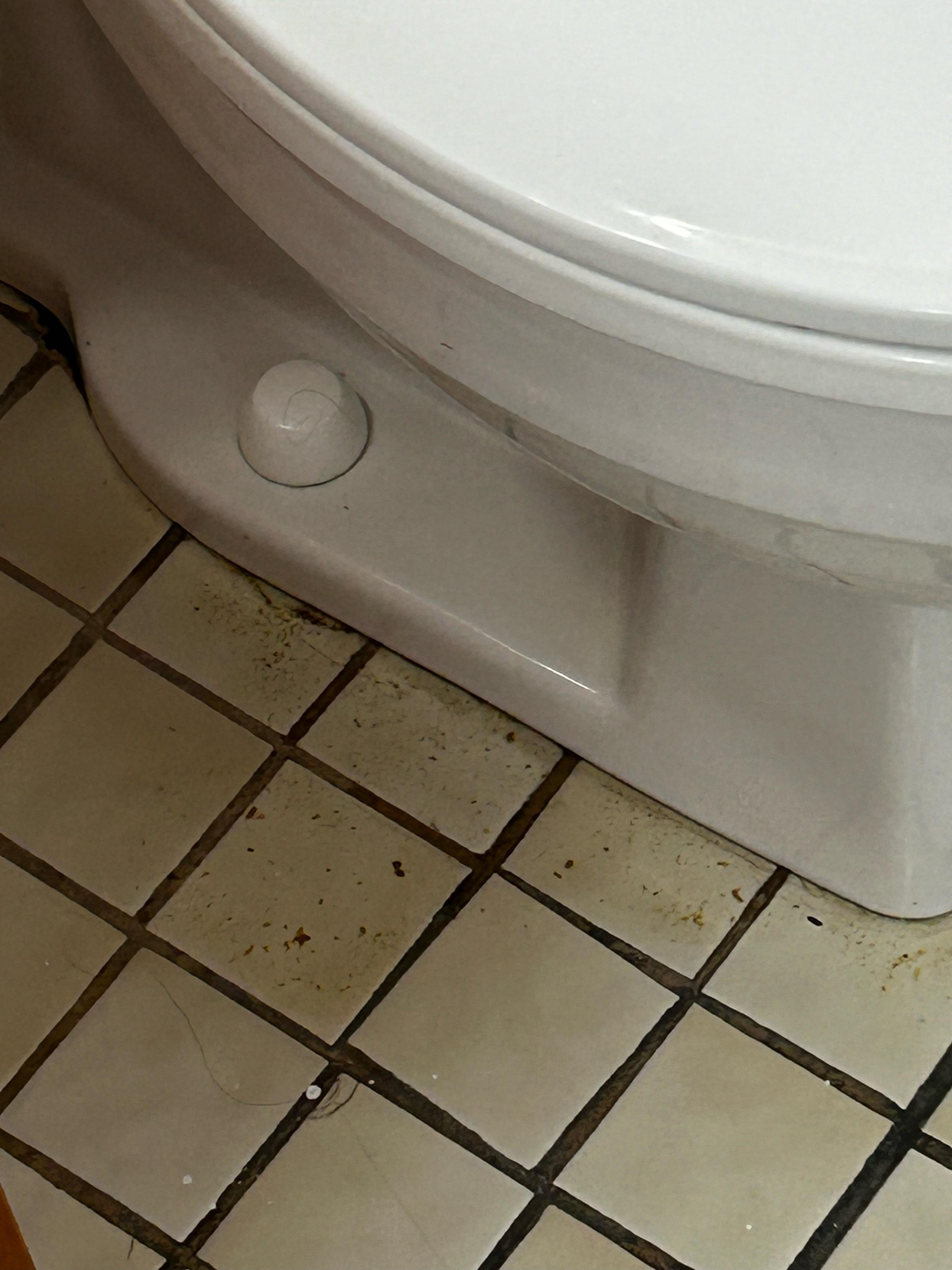 Leaky toilet seal