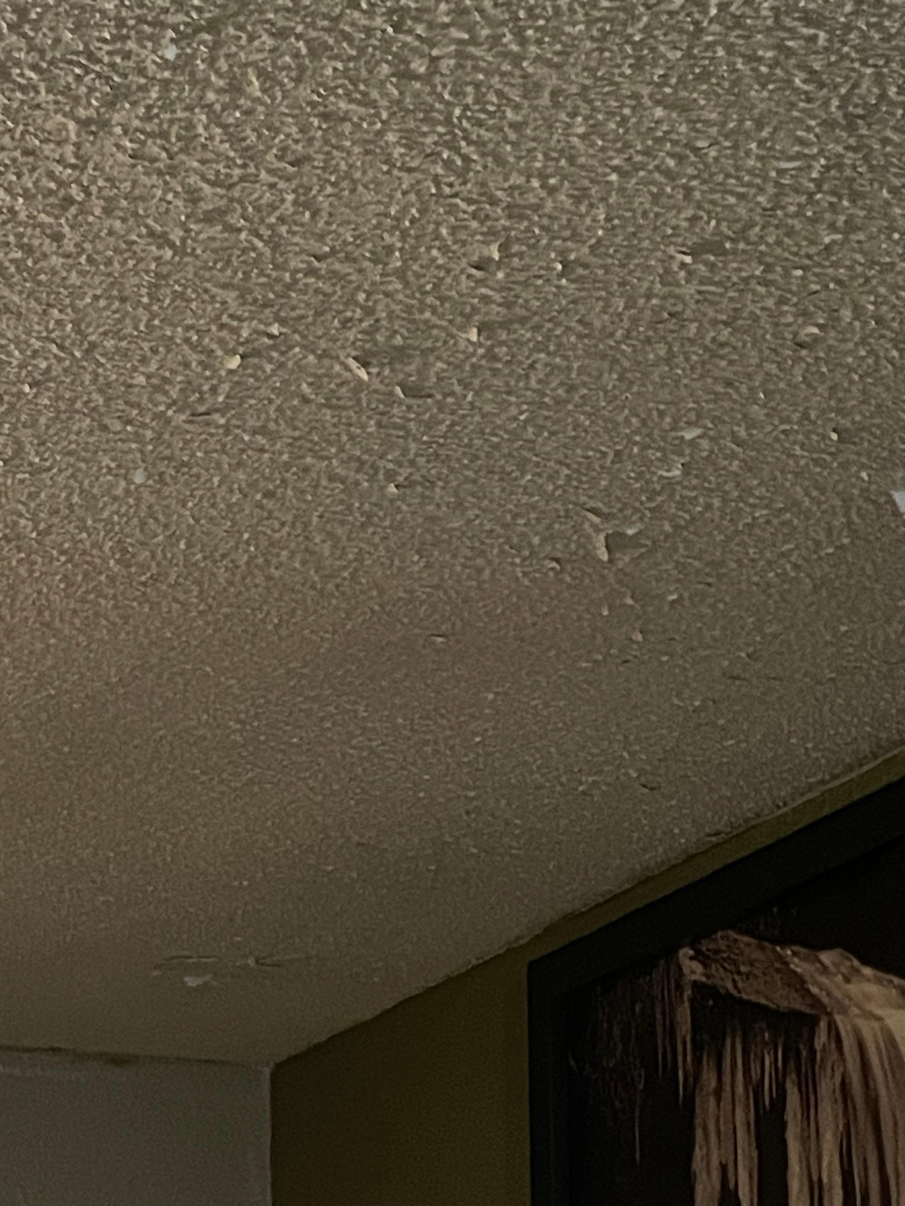 Peeling ceiling over bed.