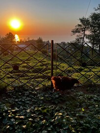Peaceful sunset