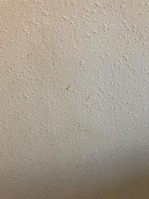 Stains on Walls