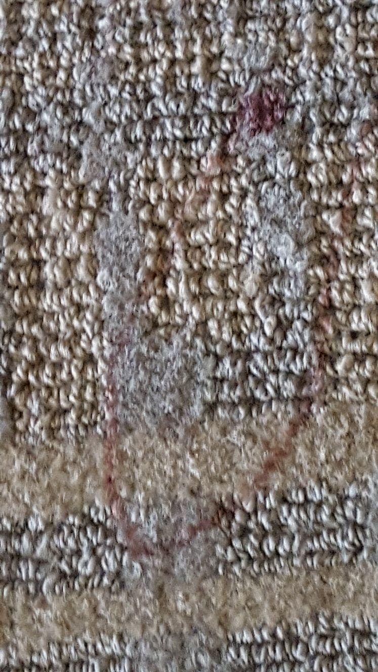 Dirty carpet with blood spots