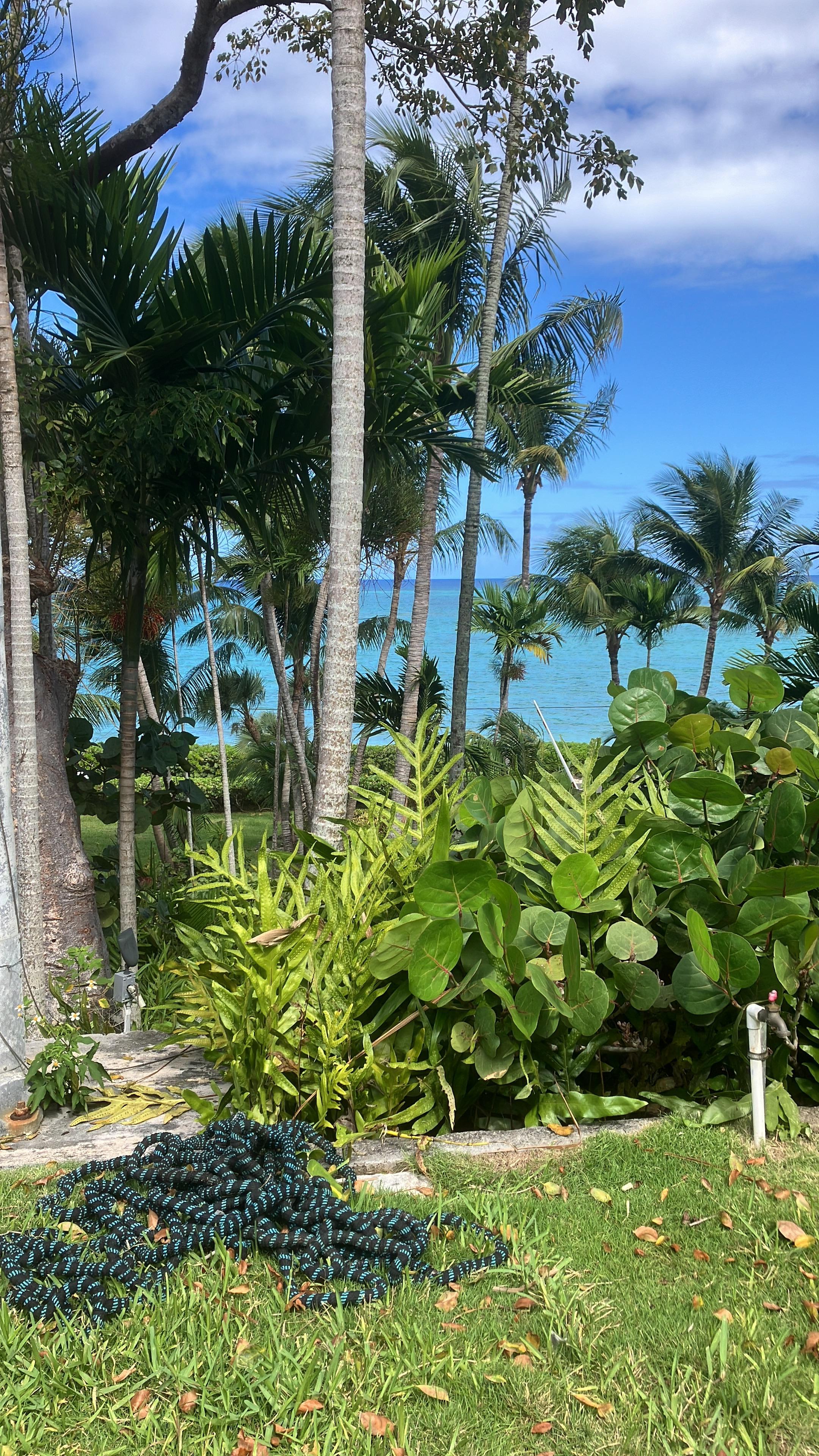 View from grounds of beach 