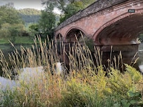 Bridge (next to hostel) leading to downtown Callander