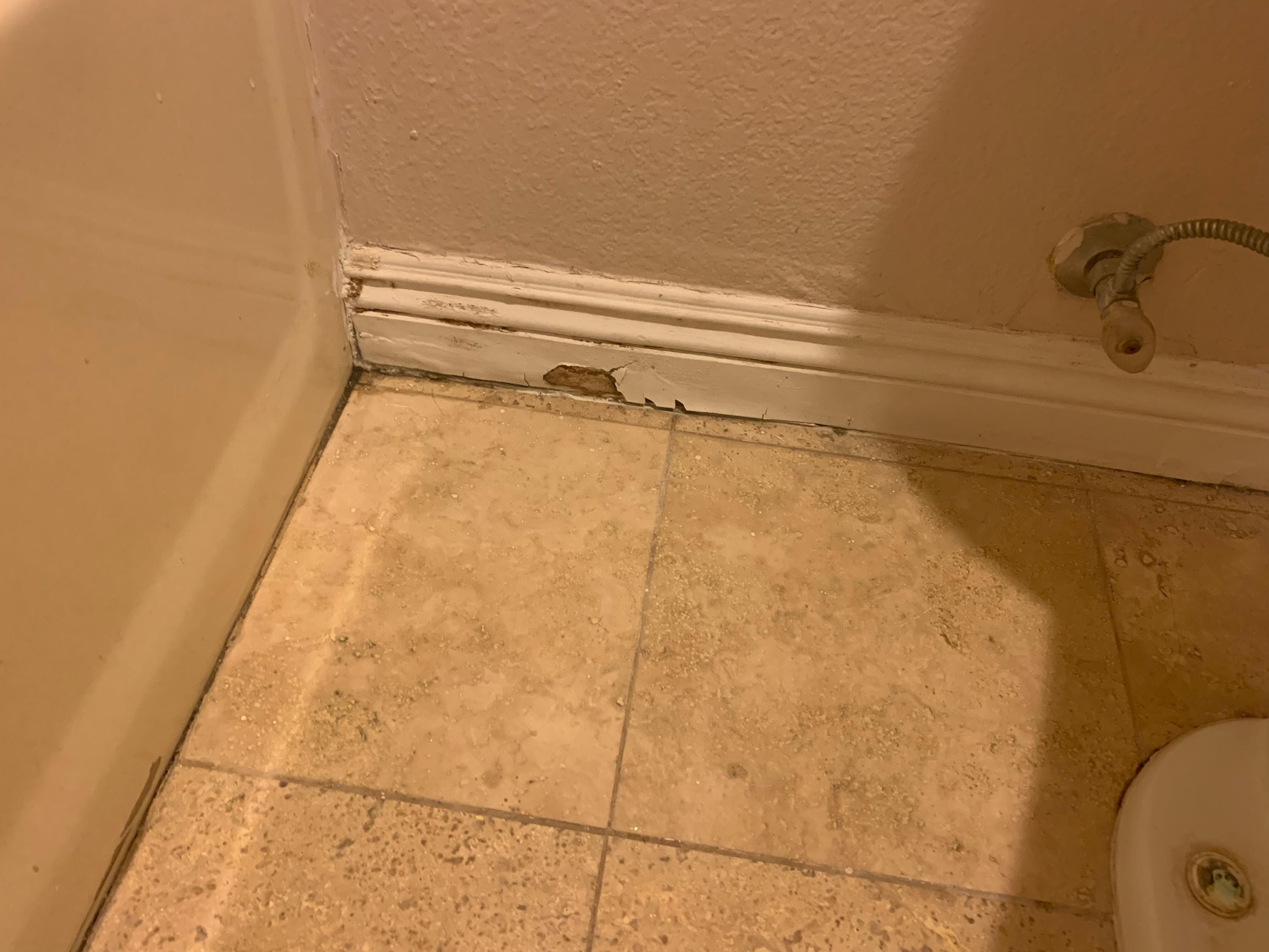 Bathroom floor