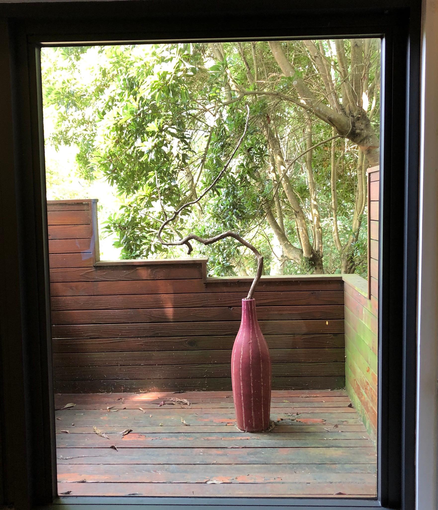 View from the room bathtub