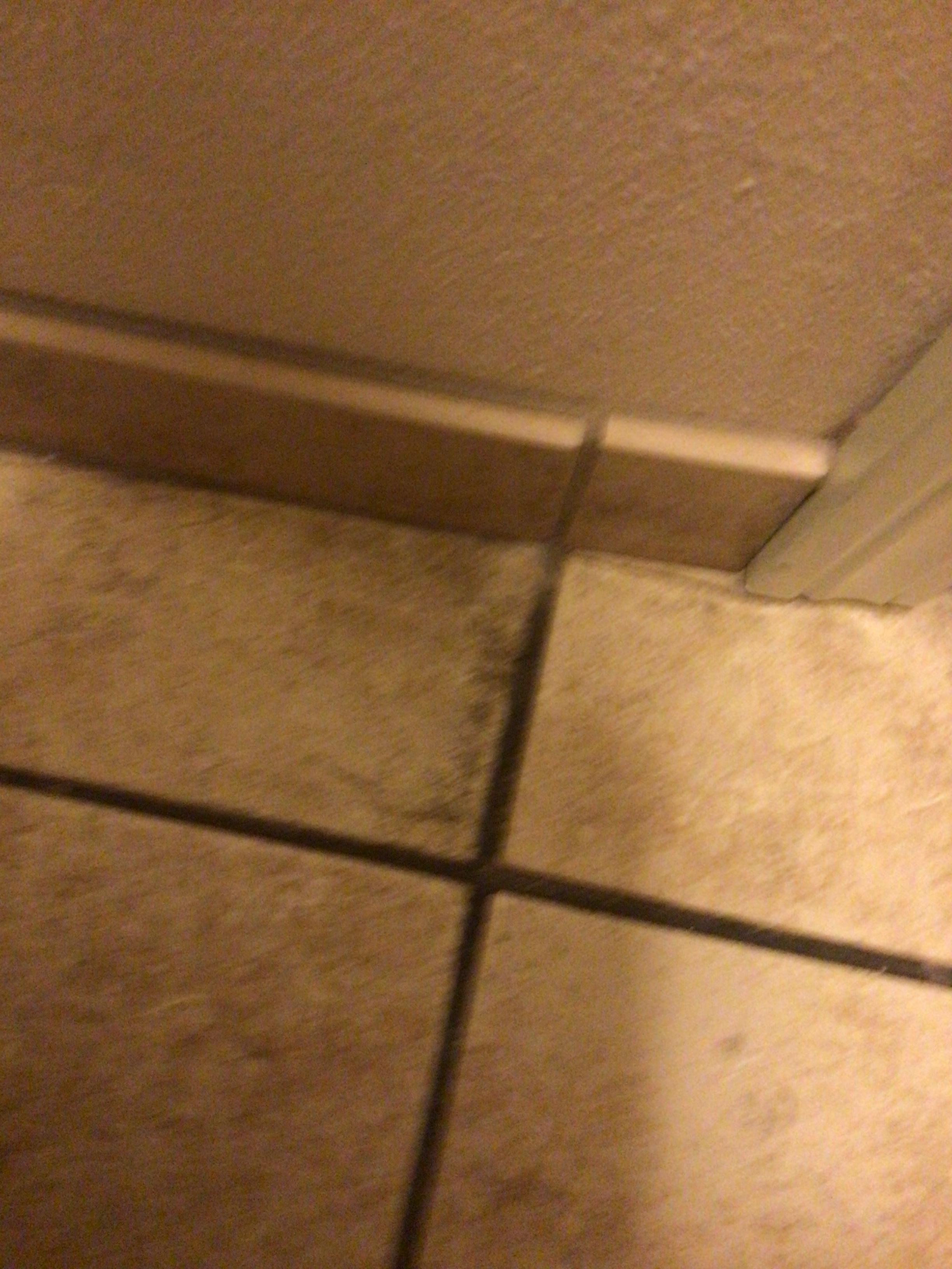 Bathroom floor