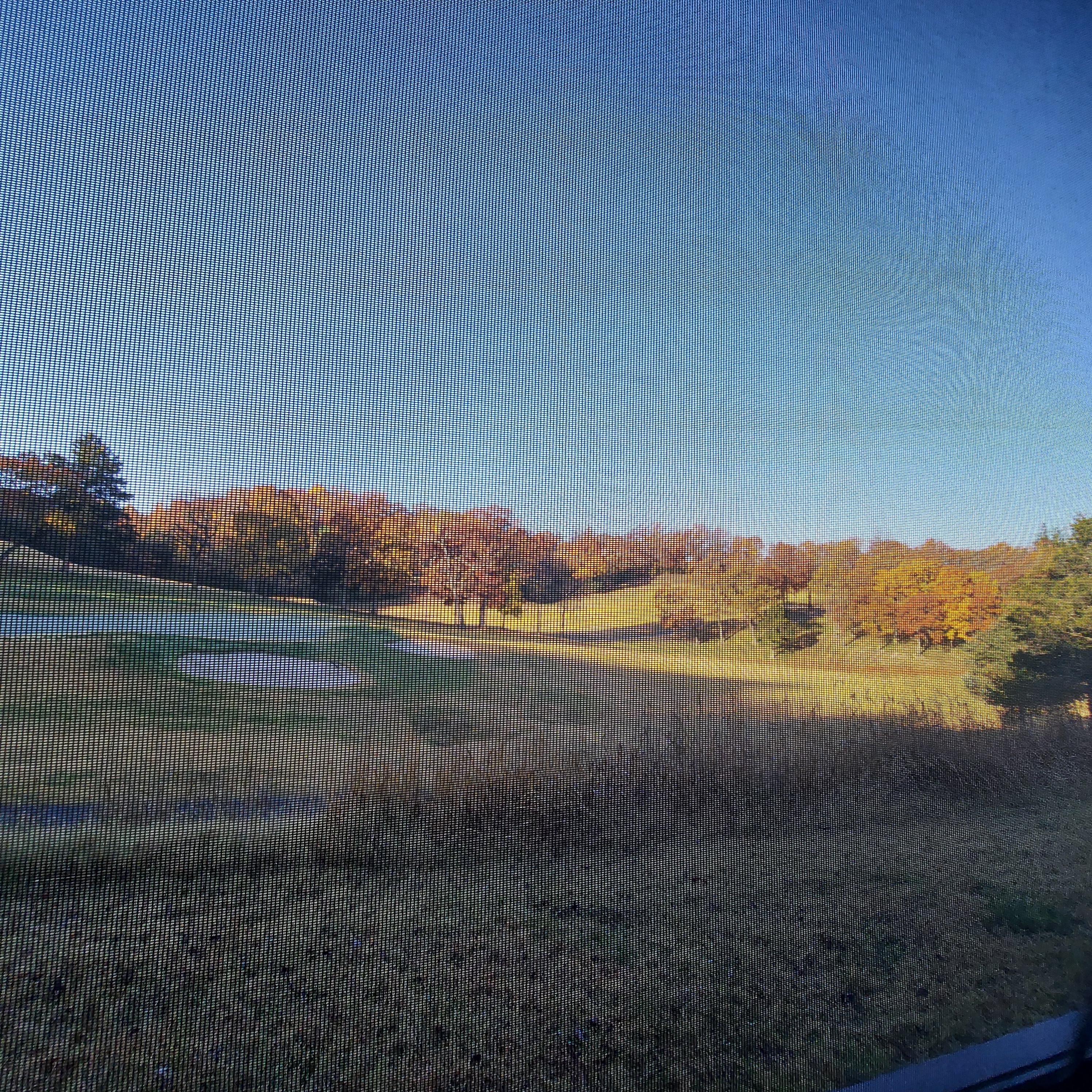 Looking out from the screen room