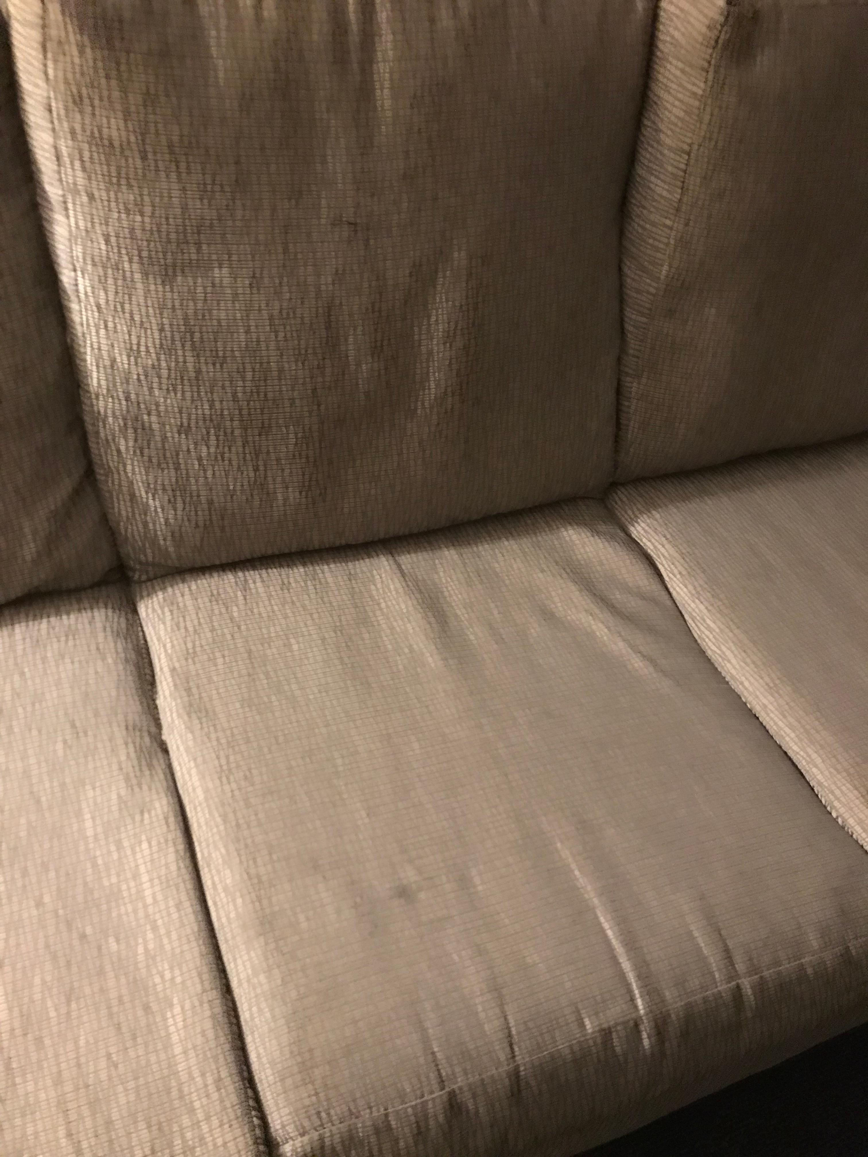 All cushions just as dirty!