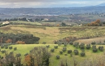 View from our window