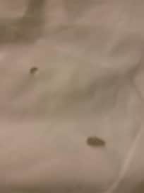 Holes in the bedsheets