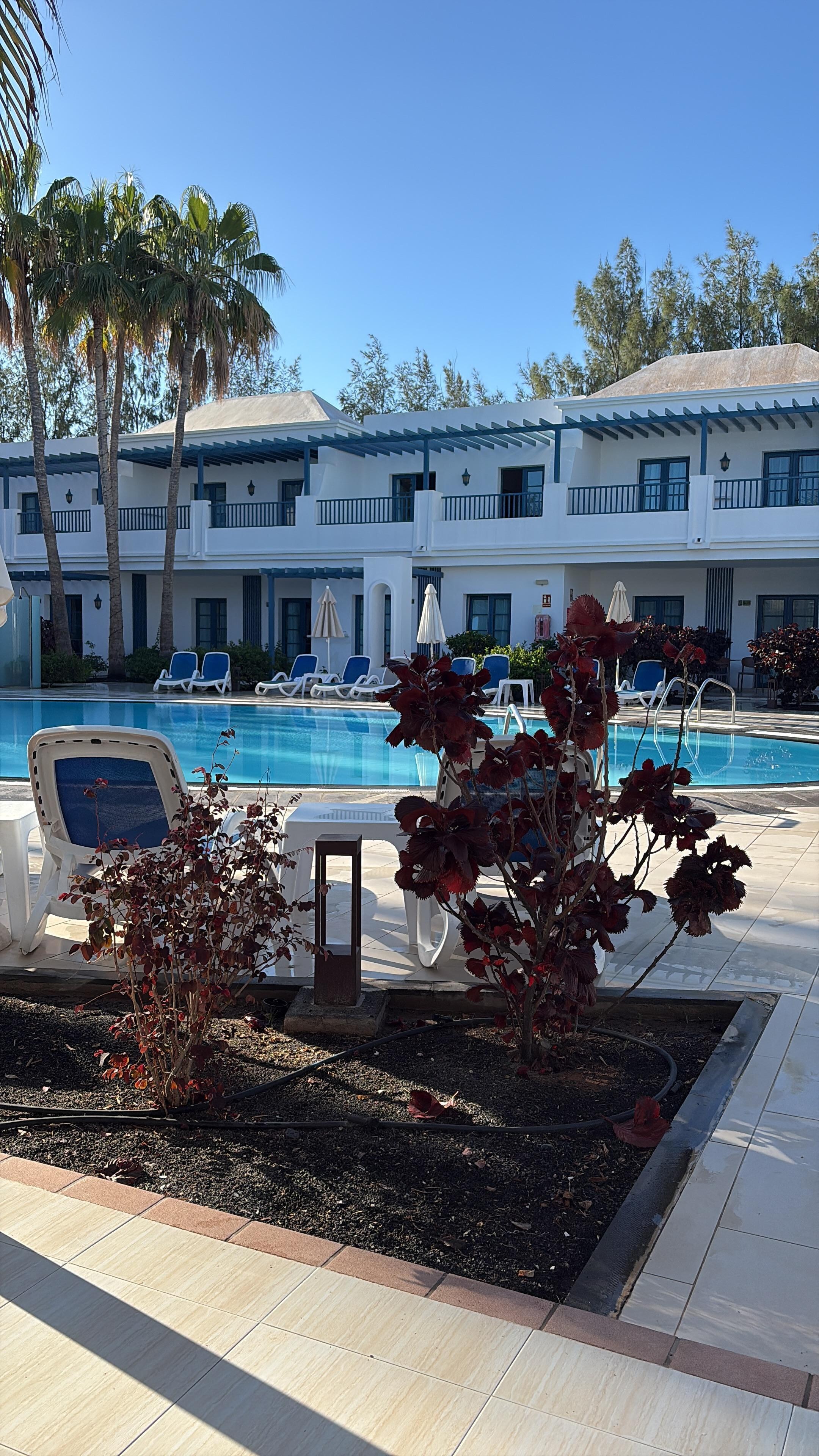 Pool view apartments