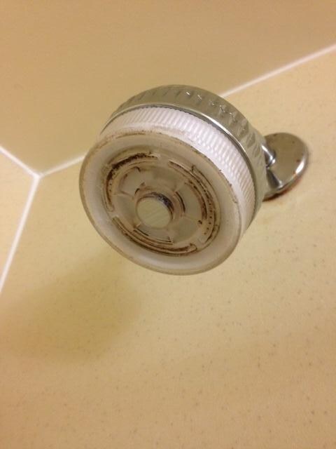 molded showerhead in 1st room