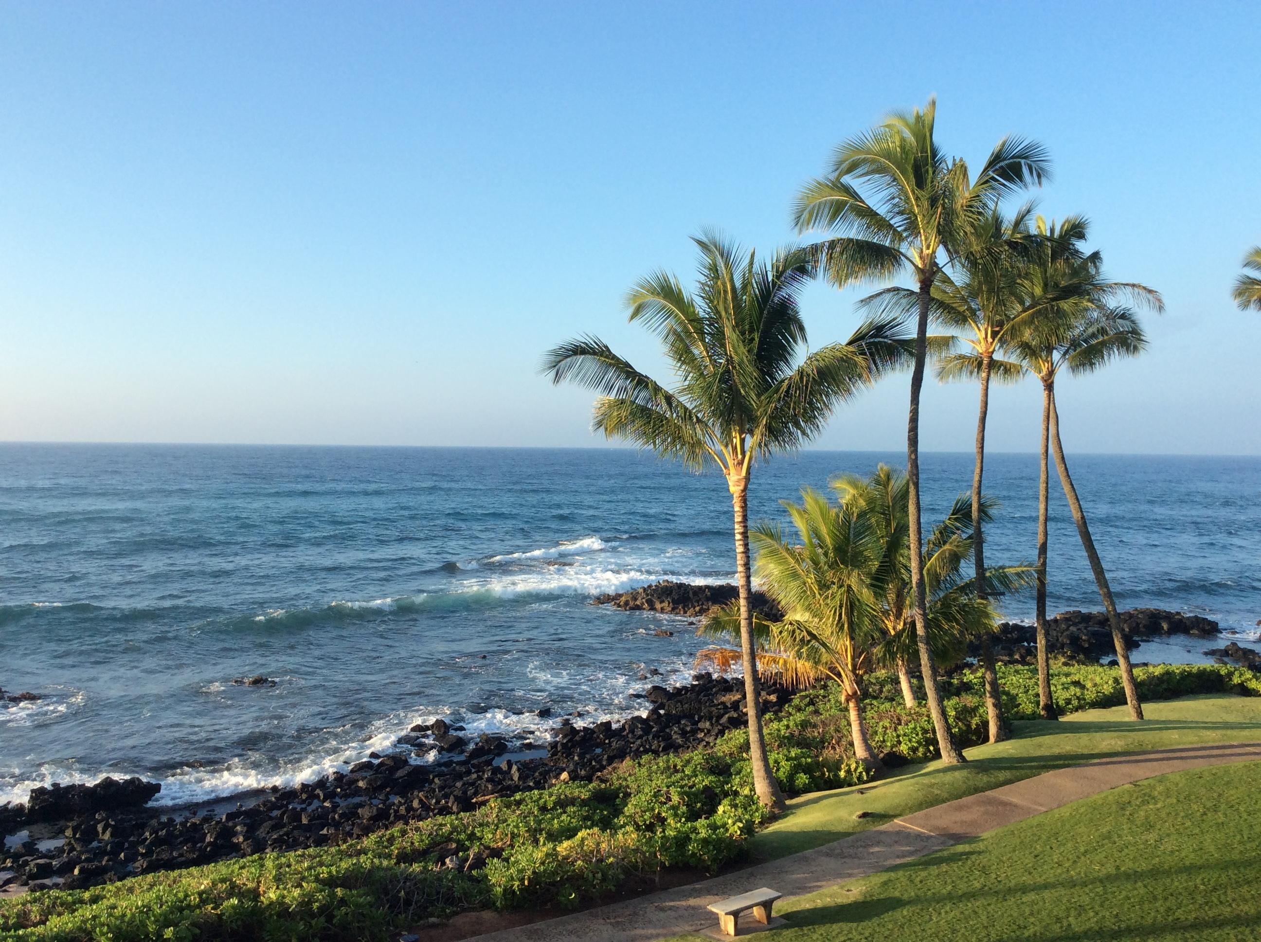View from room 1302