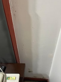 Mold on the wall