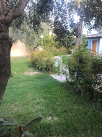 Our back garden !!