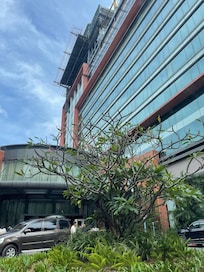 Front of the hotel