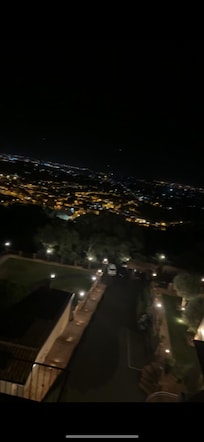 The view