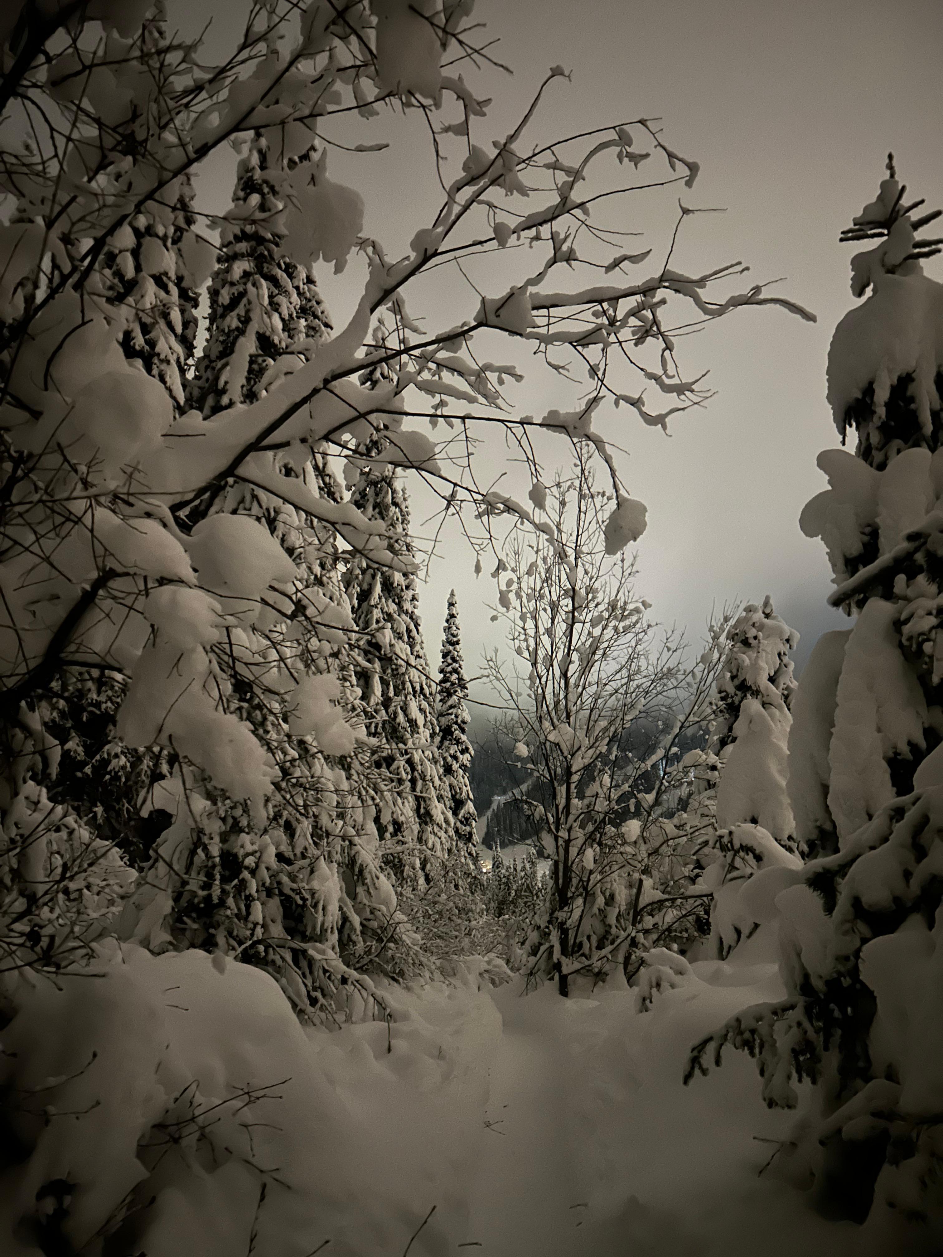 Night time snow showing with smores