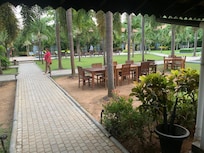 View from restaurant